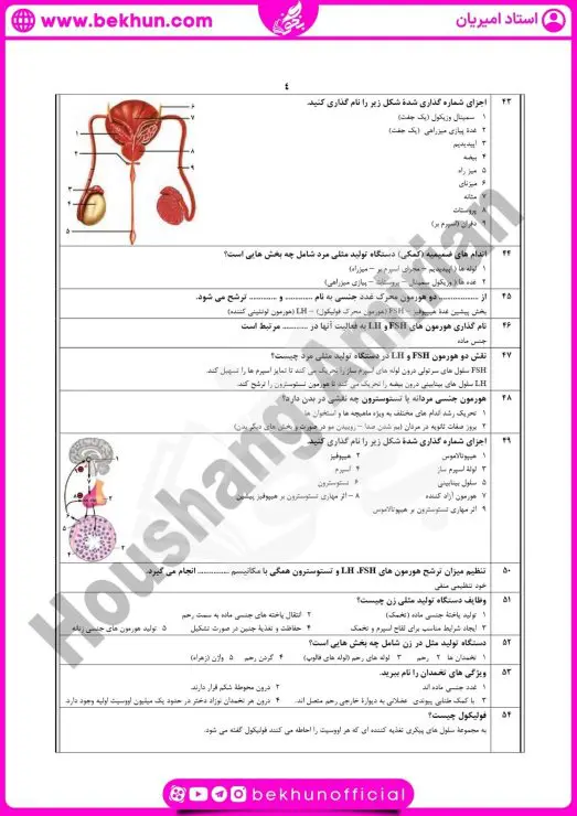 نمونه سوال فصل ۷ زیست یازدهم با جواب 9 نمونه سوال فصل هفتم زیست شناسی یازدهم