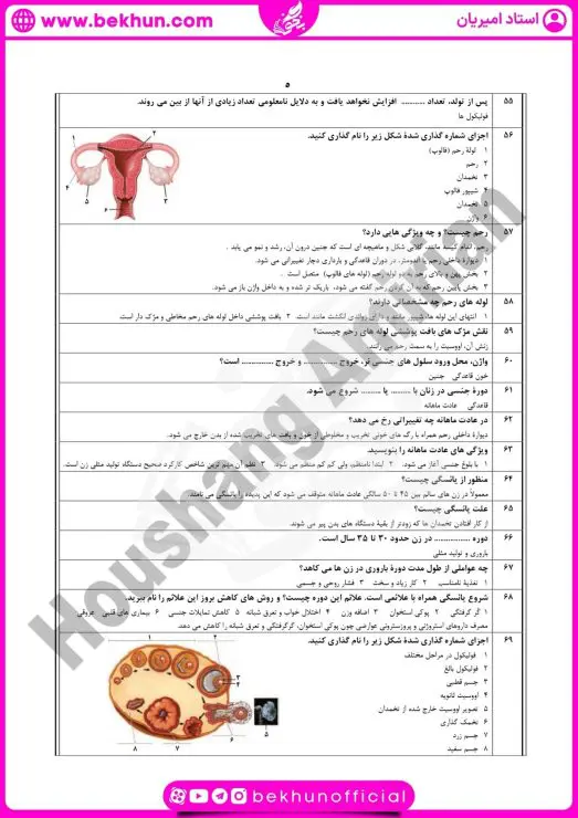 نمونه سوال فصل ۷ زیست یازدهم با جواب 10 نمونه سوال فصل تولید مثل زیست یازدهم