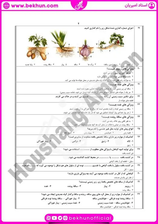 نمونه سوال فصل ۸ زیست یازدهم با جواب 7 نمونه سوال فصل 8 زیست یازدهم با پاسخ