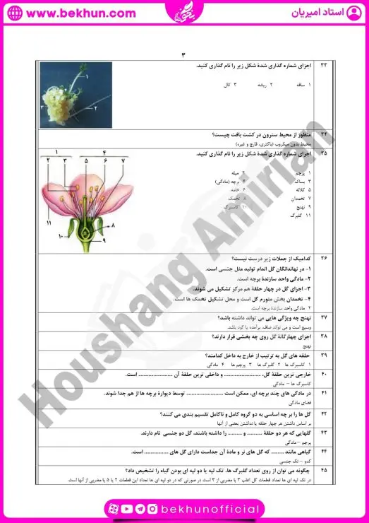 نمونه سوال فصل ۸ زیست یازدهم با جواب 8 نمونه سوال فصل ۸ زیست یازدهم تجربی
