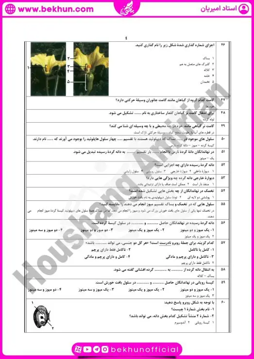 نمونه سوال فصل ۸ زیست یازدهم با جواب 9 نمونه سوال زیست یازدهم فصل ۸