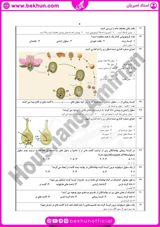 نمونه سوال فصل ۸ زیست یازدهم با جواب 10 نمونه سوال امتحانی فصل هشت زیست یازدهم با جواب