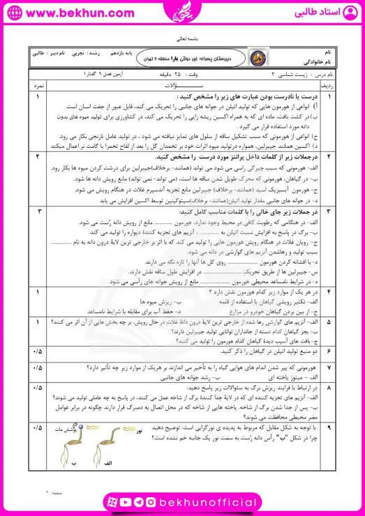 نمونه سوال جذب و انتقال مواد در گیاهان با جواب