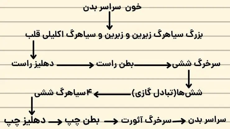 فرآیند تبادل خون فصل سوم زیست دهم
