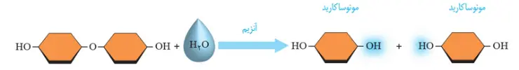 آموزش گفتار دو زیست دهم | آب‌کافت