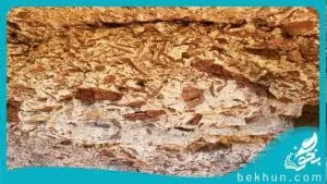 بودجه بندی زمین شناسی کنکور