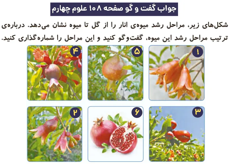 پاسخ گفت و گو صفحه 108 علوم چهارم دبستان