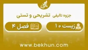 جزوه فصل چهار زیست دهم