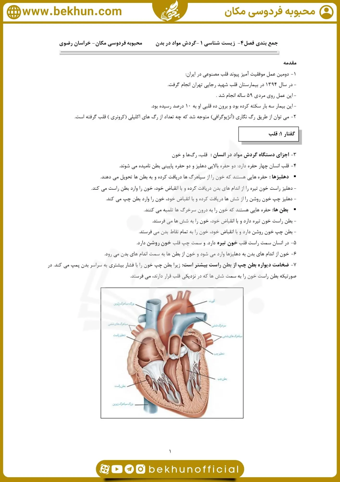 جزوه فصل چهار زیست دهم 19 جزوه گفتار دوم فصل چهارم زیست دهم