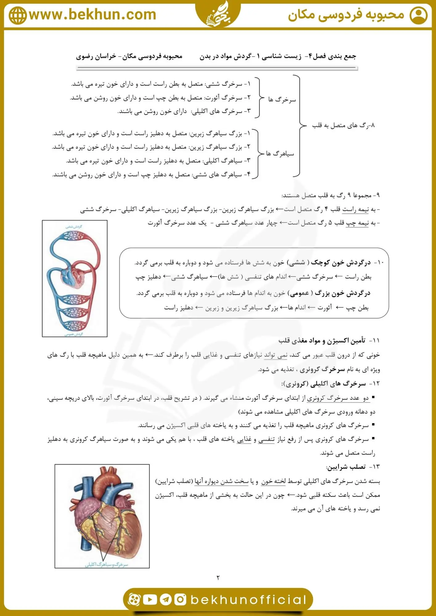 جزوه فصل چهار زیست دهم 20 جزوه فصل چهارم زیست دهم فردوسی مکان