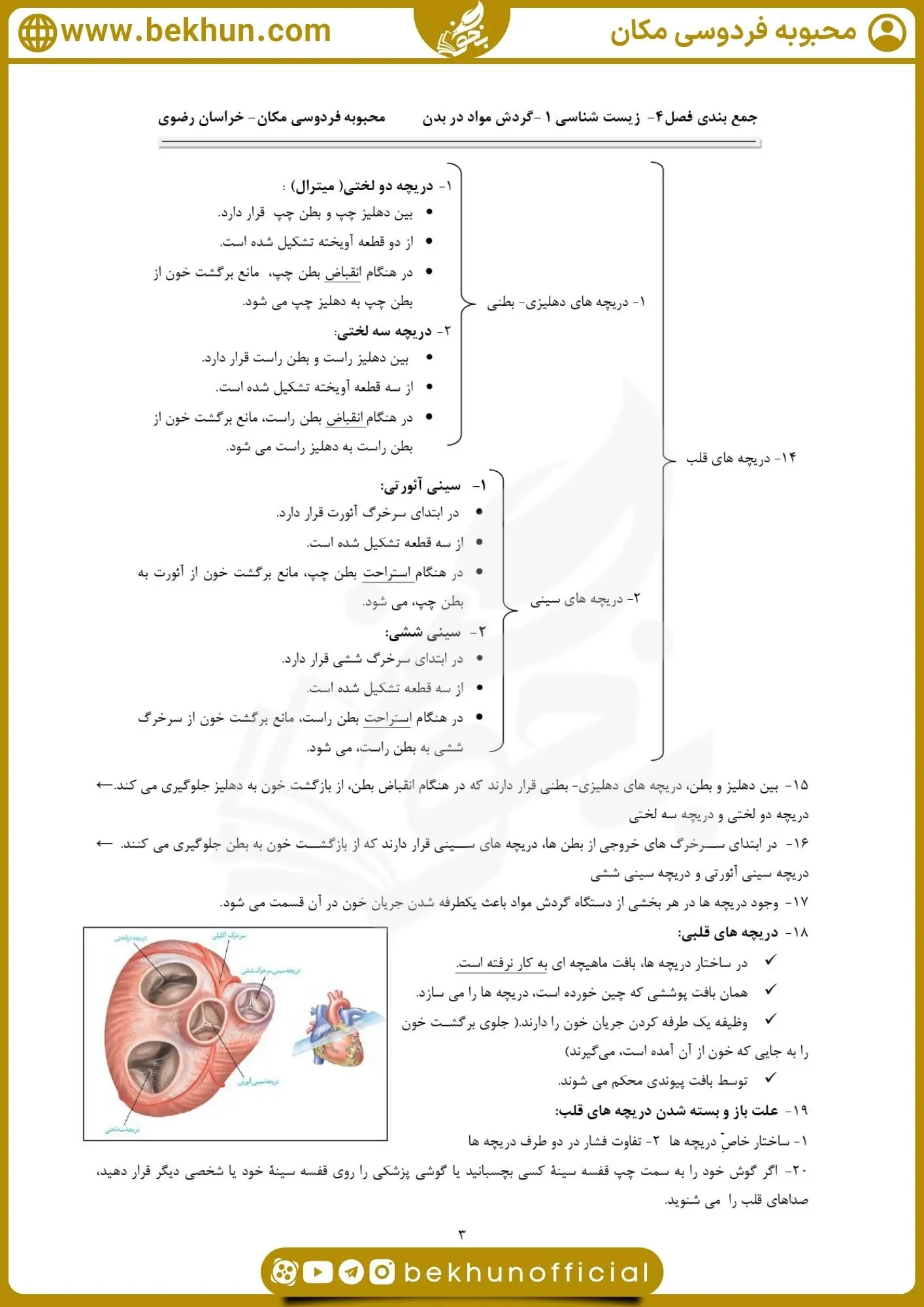 جزوه فصل چهار زیست دهم 21 جزوه زیست دهم فصل 4 گفتار 2