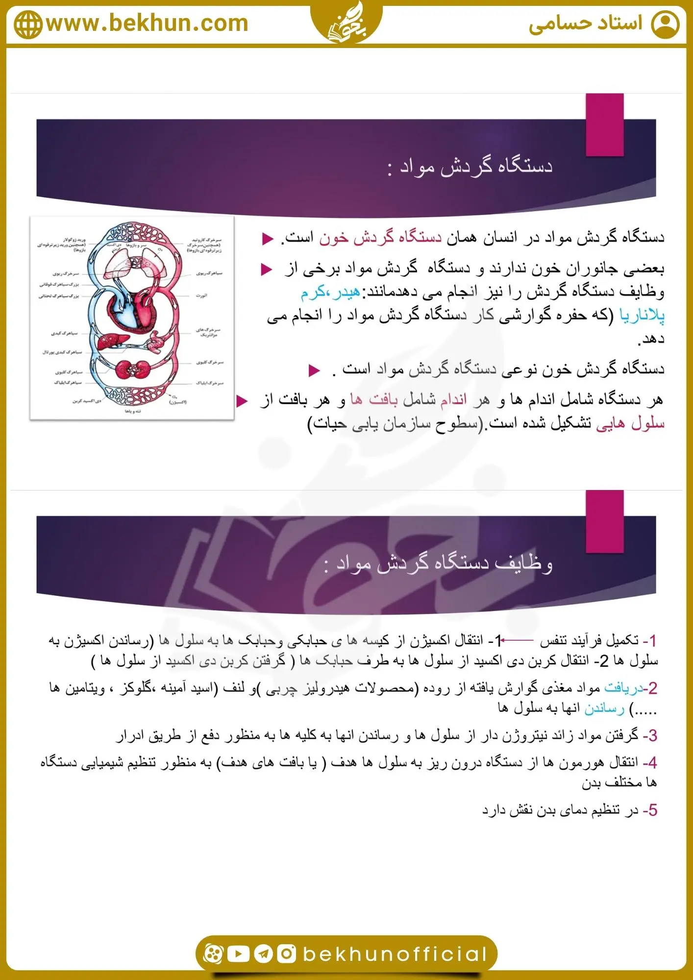 جزوه فصل چهار زیست دهم 28 دانلود جزوه زیست دهم فصل چهارم حسامی
