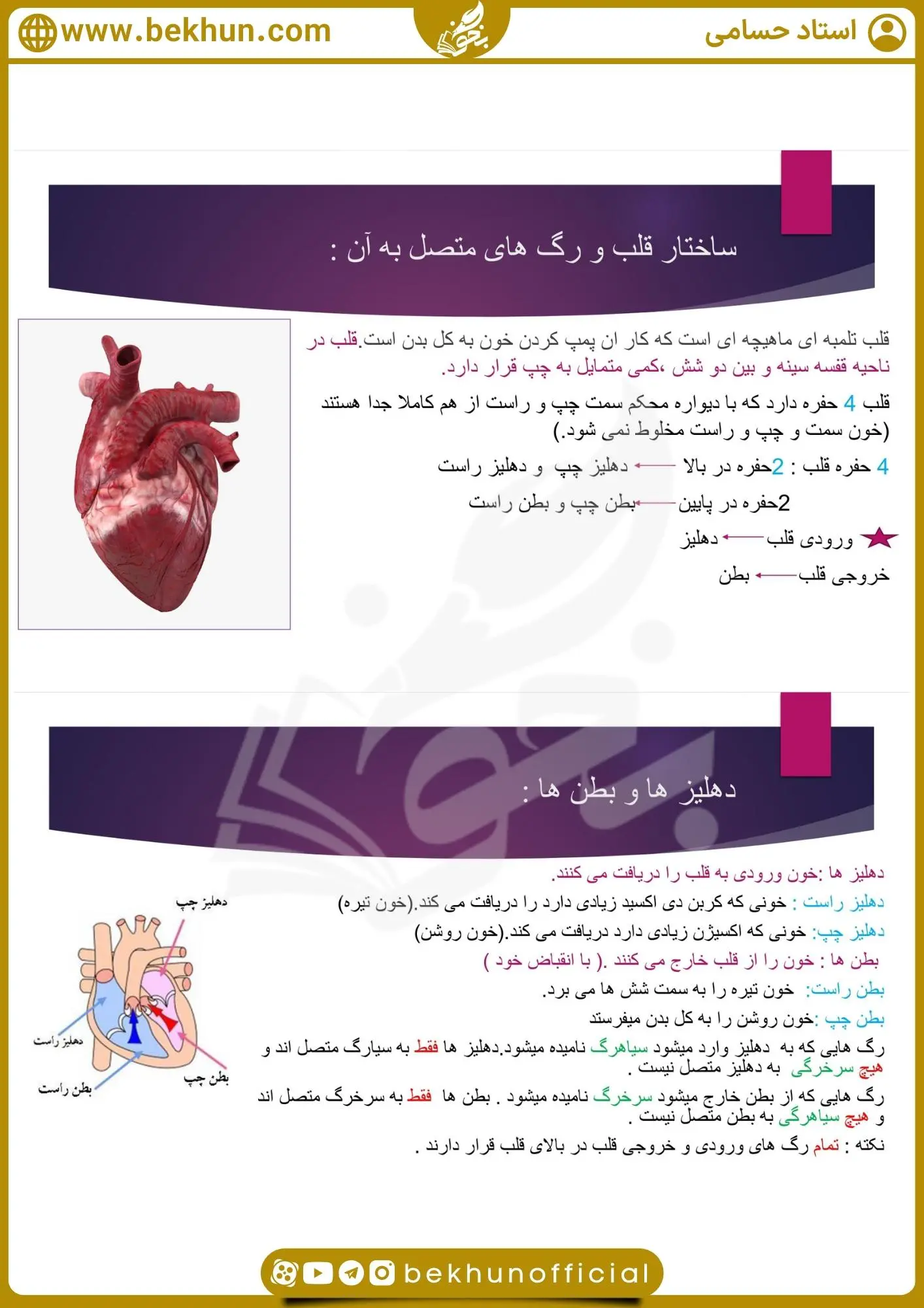 جزوه فصل چهار زیست دهم 29 جزوه فصل چهارم زیست شناسی دهم حسامی