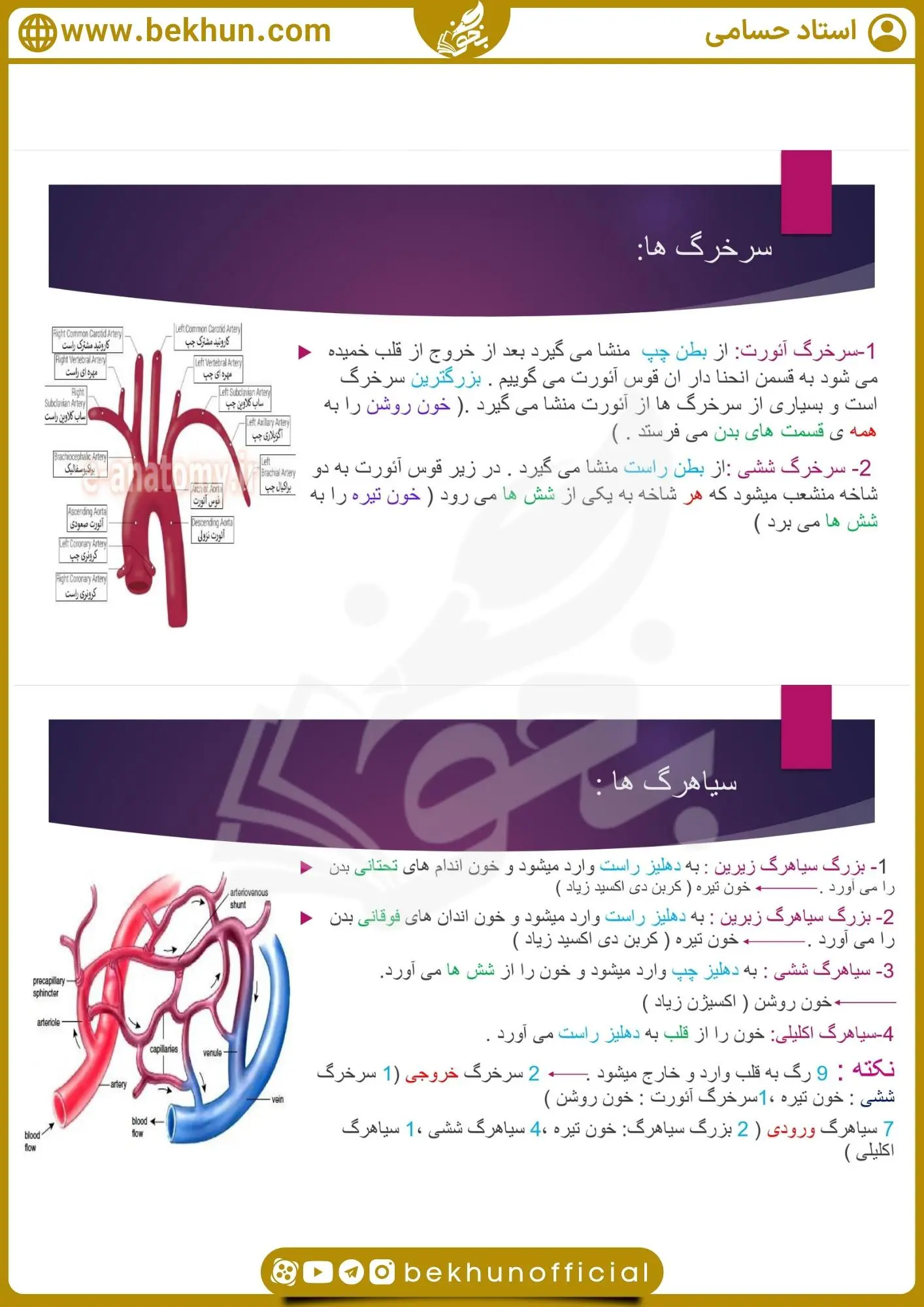 جزوه فصل چهار زیست دهم 30 جزوه کنکوری زیست دهم فصل چهارم حسامی
