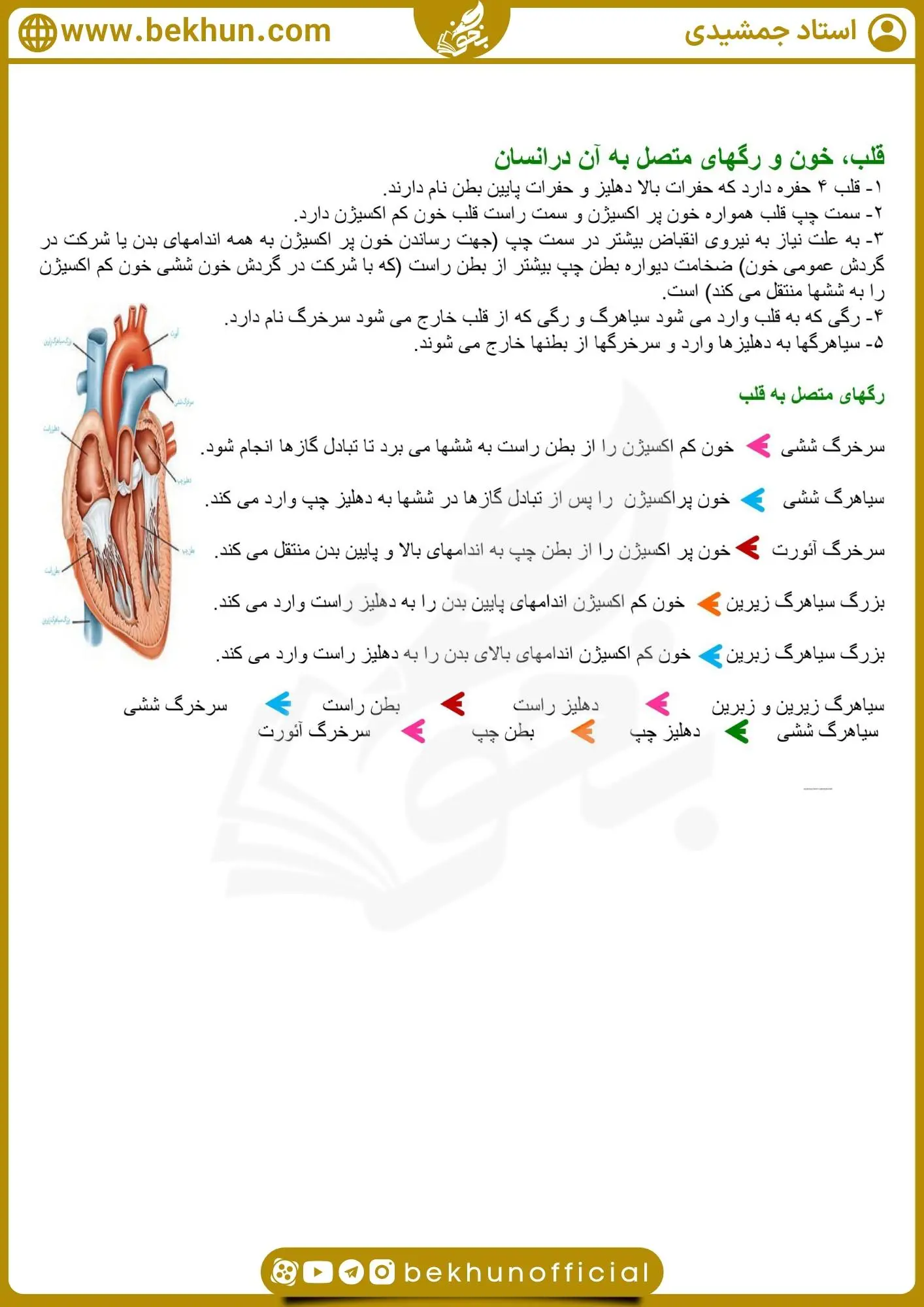 جزوه فصل چهار زیست دهم 18 جزوه گفتار اول فصل چهارم زیست دهم