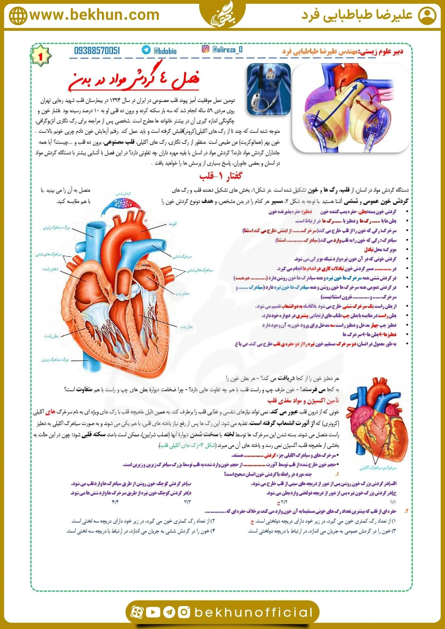 جزوه فصل چهار زیست دهم 25 جزوه جمع بندی زیست دهم فصل 4 طباطبایی فرد