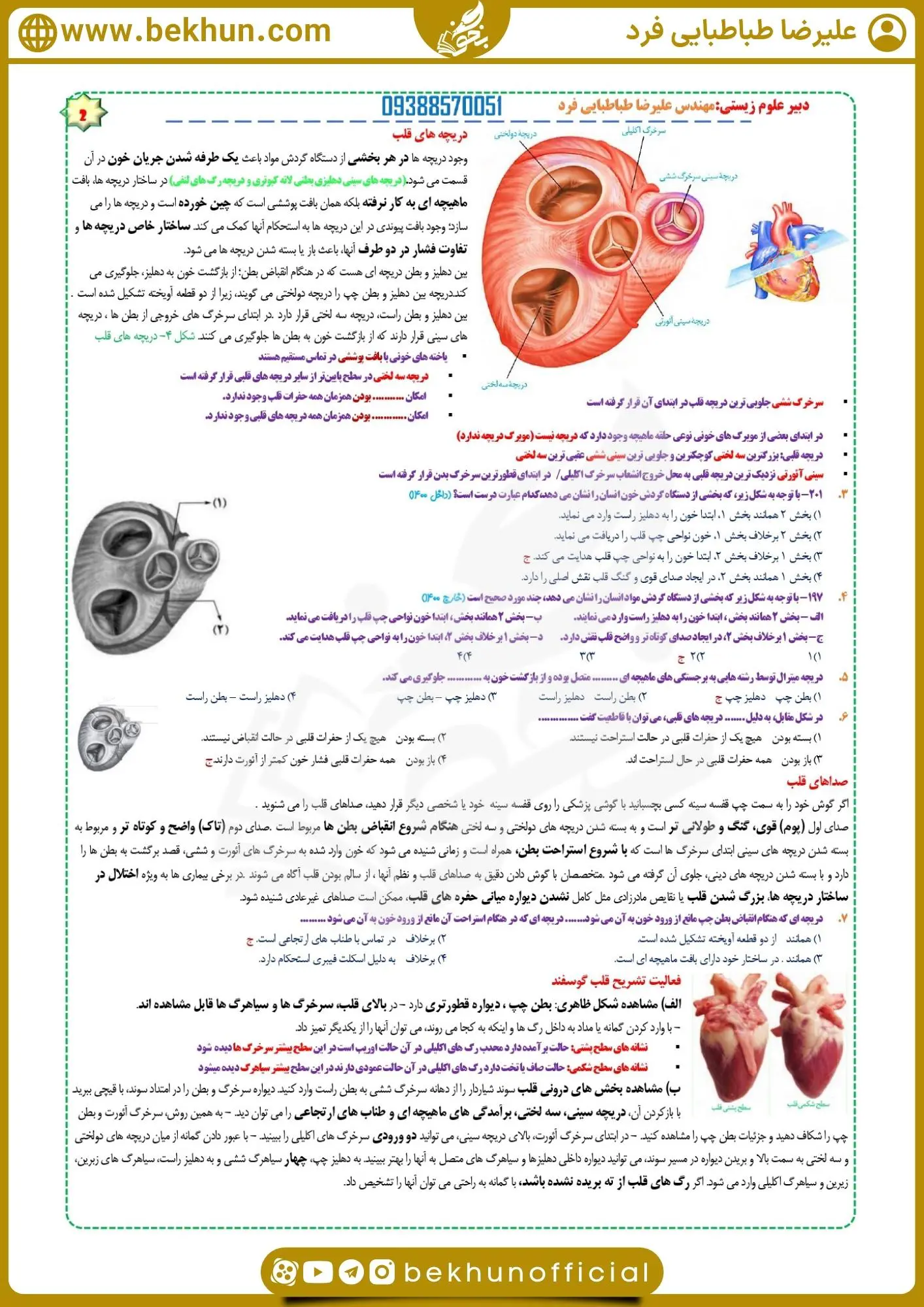 جزوه فصل چهار زیست دهم 26 جزوه زیست دهم تجربی فصل چهارم طباطبایی فرد