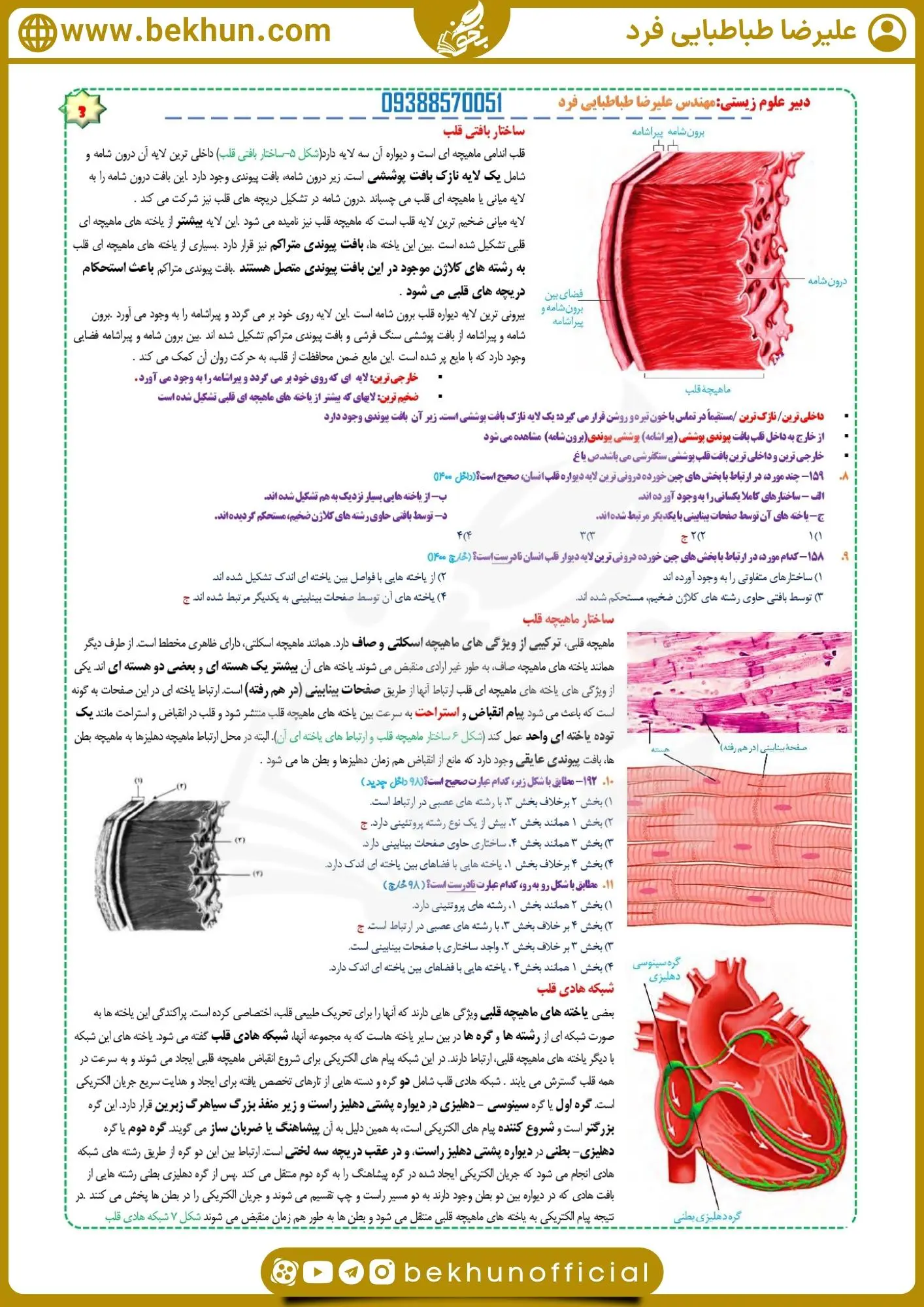 جزوه فصل چهار زیست دهم 27 جزوه خلاصه زیست دهم فصل 4 طباطبایی فرد