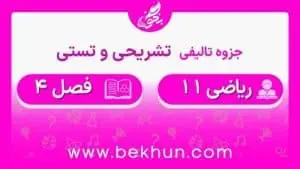 جزوه فصل چهار ریاضی یازدهم تجربی