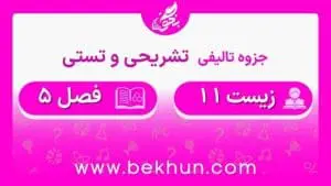 جزوه فصل 5 زیست یازدهم