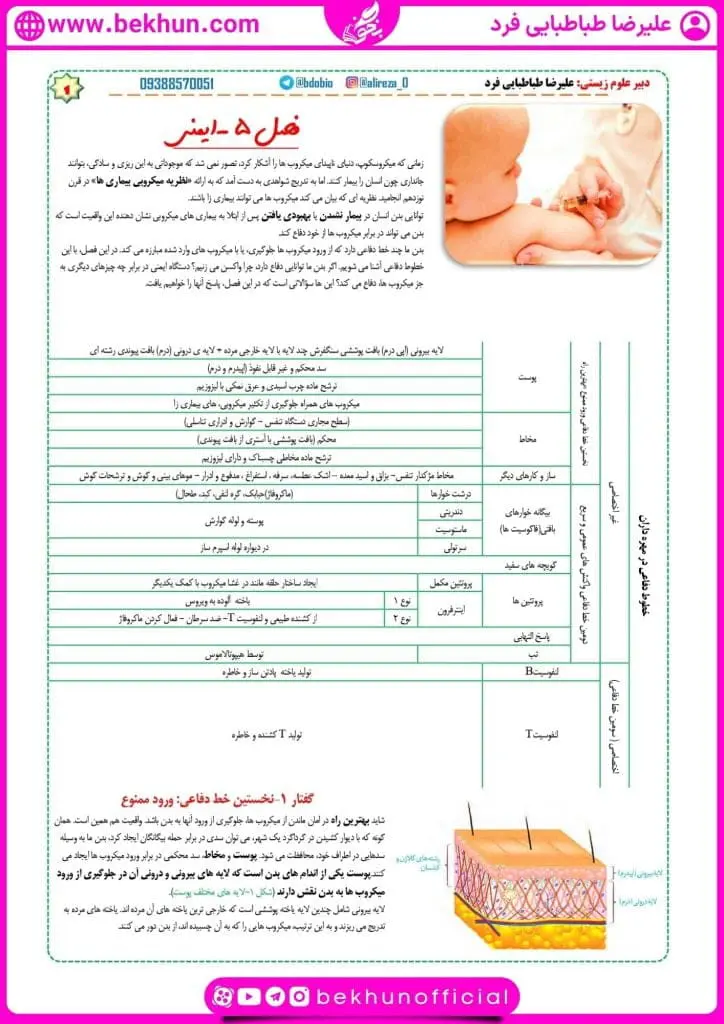 جزوه فصل پنجم زیست یازدهم 19 جزوه فصل پنجم زیست شناسی یازدهم