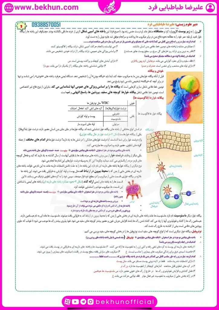 جزوه فصل پنجم زیست یازدهم 21 جزوه گفتار دوم فصل پنجم زیست یازدهم