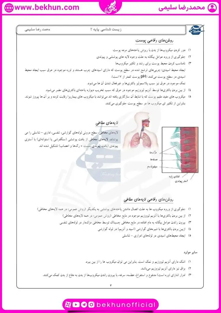 جزوه فصل پنجم زیست یازدهم 29 دانلود جزوه فصل پنجم زیست یازدهم