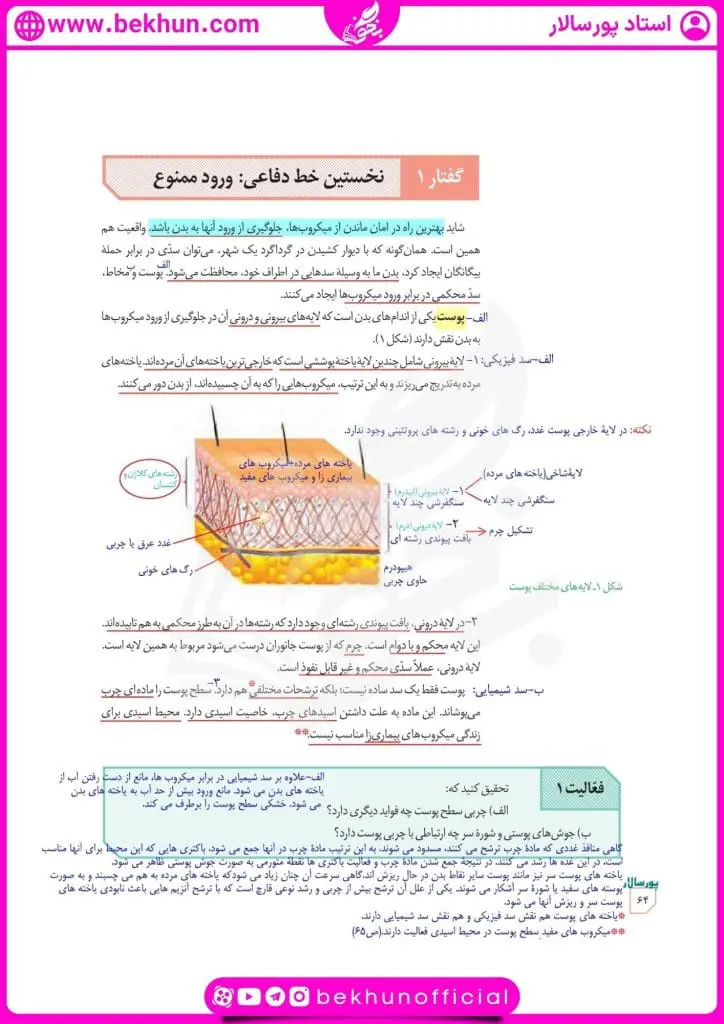 جزوه فصل پنجم زیست یازدهم 24 جزوه فصل ایمنی زیست یازدهم