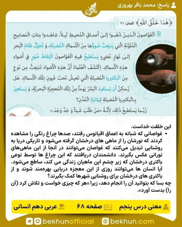 ترجمه صفحه 68 عربی دهم انسانی