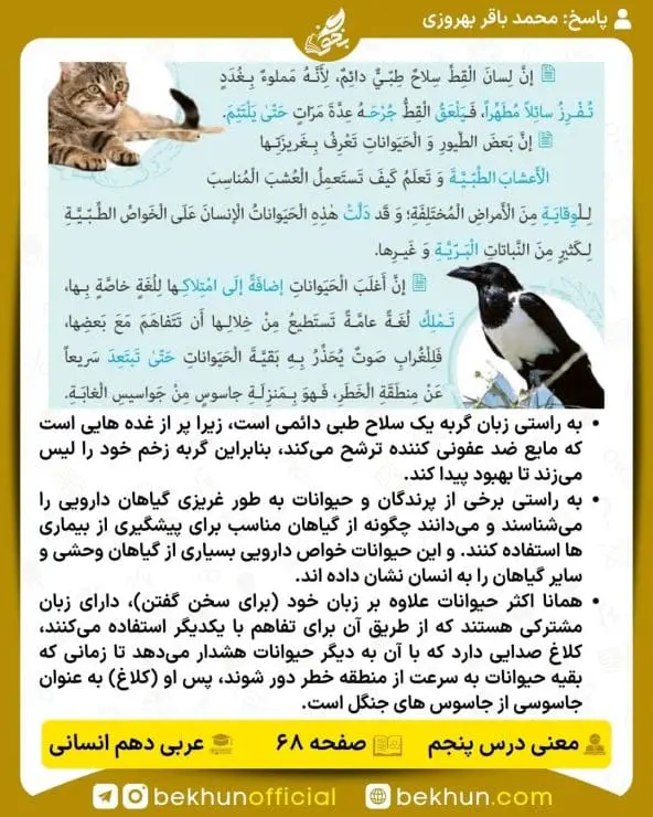 ترجمه صفحه 69 عربی دهم انسانی