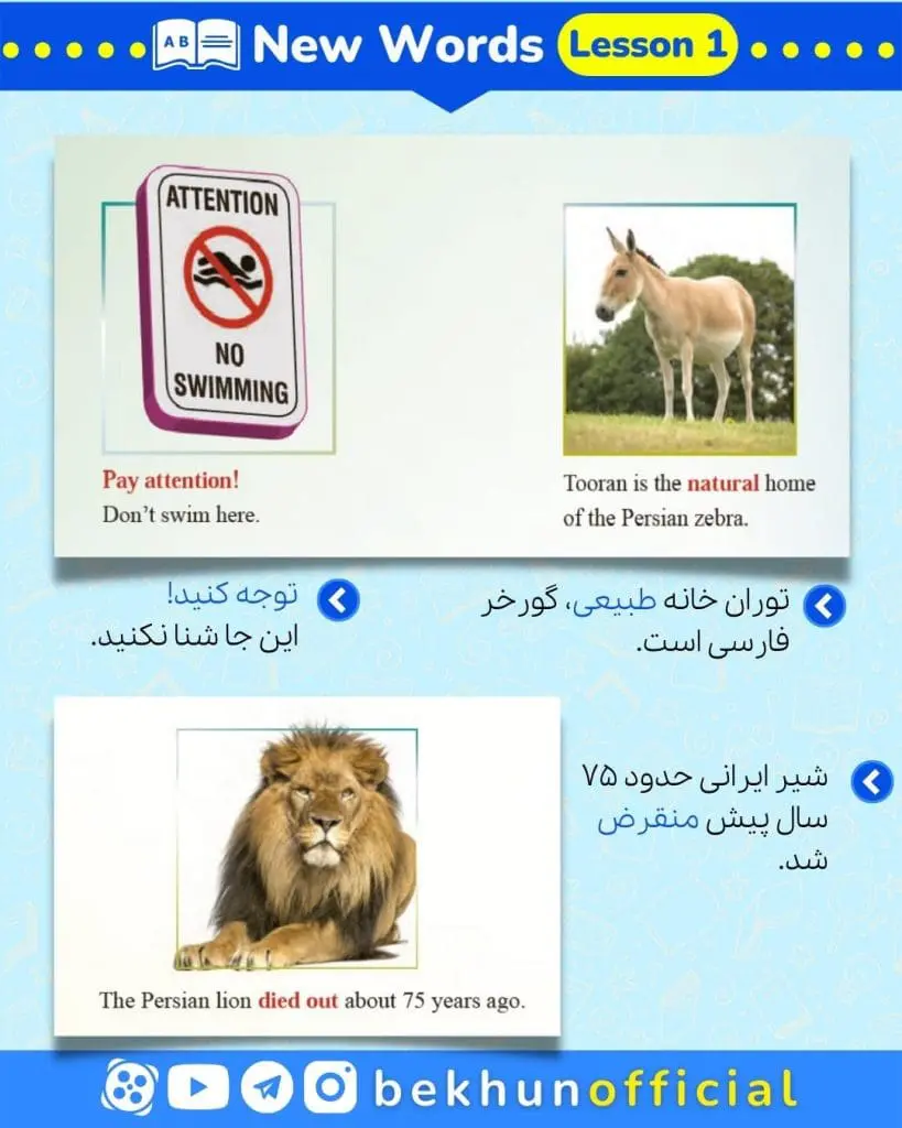لغات زبان دهم با معنی و تلفظ درس اول