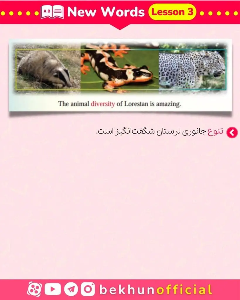 لغات زبان یازدهم با معنی و تلفظ درس سوم