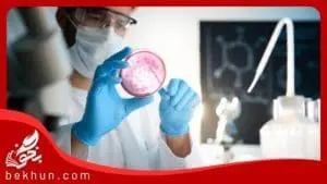 معرفی کامل رشته میکروبیولوژی