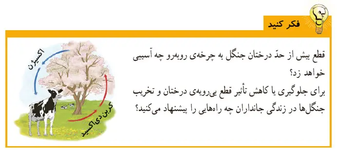 گام به گام فصل دوم علوم ششم | فکر کنید صفحه 15 علوم ششم 