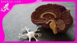 نمونه سوال فصل اول زیست یازدهم