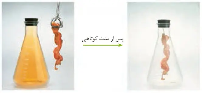 گام به گام فصل اول شیمی یازدهم | جواب خود را بیازمایید صفحه 41