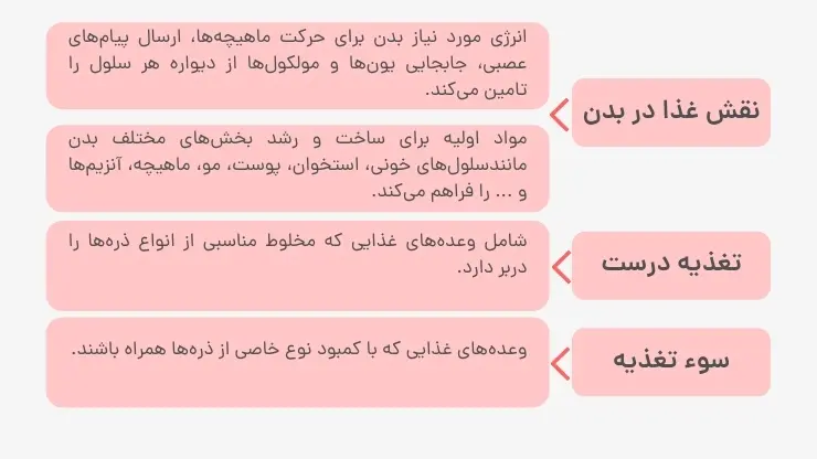 آموزش فصل دوم شیمی یازدهم | نقش غذا در بدن