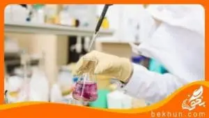 جواب آزمایش کنید علوم ششم