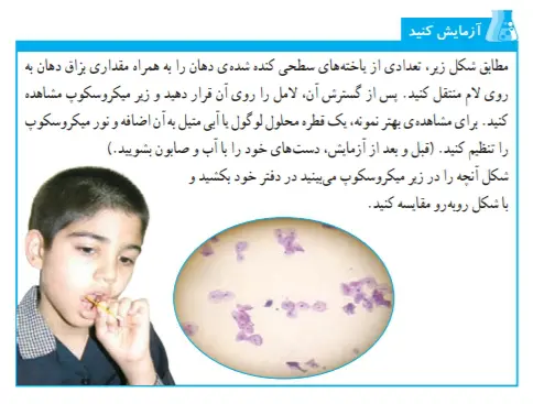 جواب آزمایش کنید صفحه78 علوم تجربی