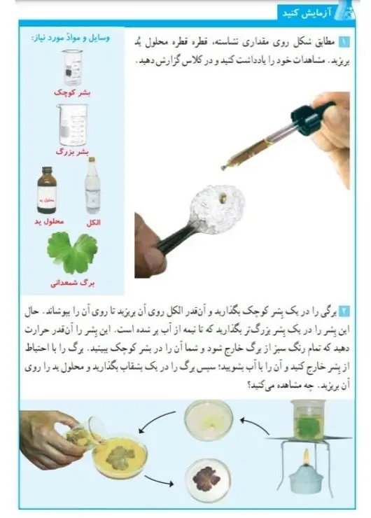 جواب آزمایش کنید صفحه 80 علوم ششم