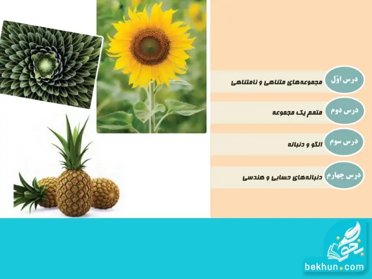 مباحث فصل اول ریاضی دهم