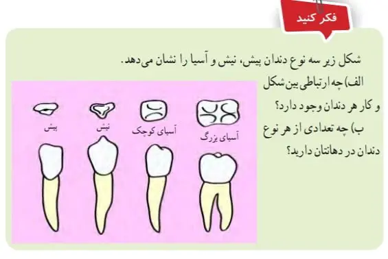 جواب صفحه 112علوم هفتم