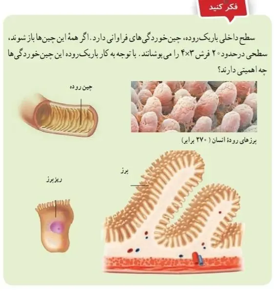 جواب صفحه 115علوم هفتم