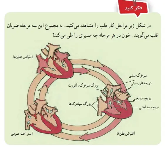 جواب صفحه 121علوم هفتم