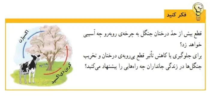 جواب فکرکنید صفحه 14علوم ششم