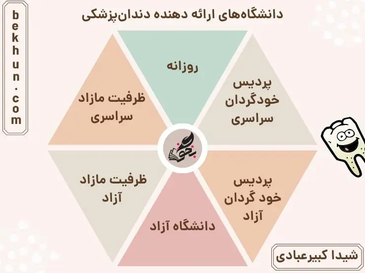 معرفی کامل رشته دندانپزشکی 5 دانشگاههای ارائه دهنده رشته دندانپزشکی