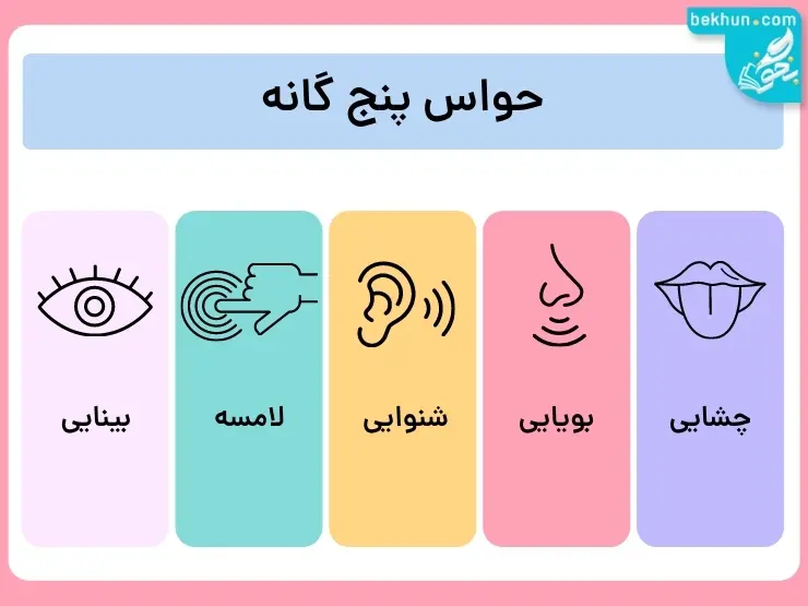 حواس پنج گانه