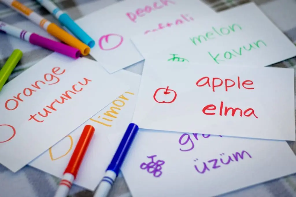 چطور زبان ترکی استانبولی یاد بگیریم؟