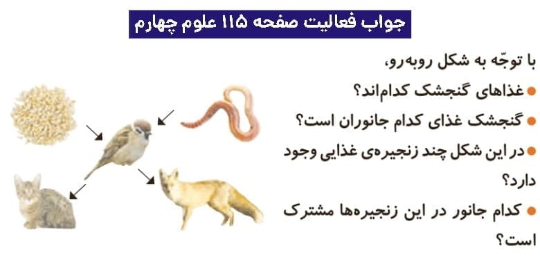 جواب فعالیتهای علوم چهارم ابتدایی 131 پاسخ فعالیت صفحه ۱۱۵ علوم چهارم