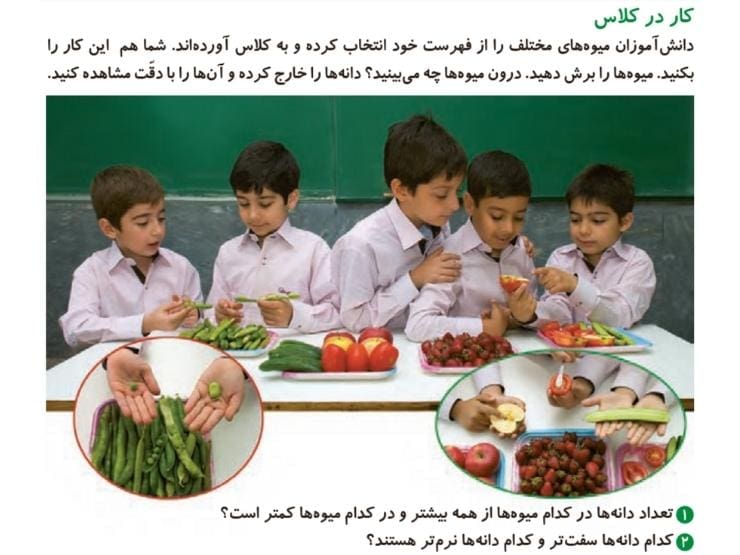 جواب کار در کلاسهای علوم دوم ابتدایی جواب کار در کلاسهای علوم دوم ابتدایی
